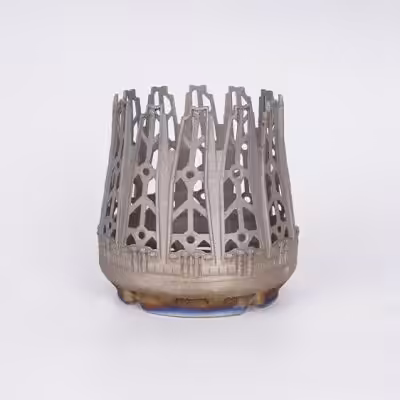Lightweight (SLM) Metal 3D printed structure